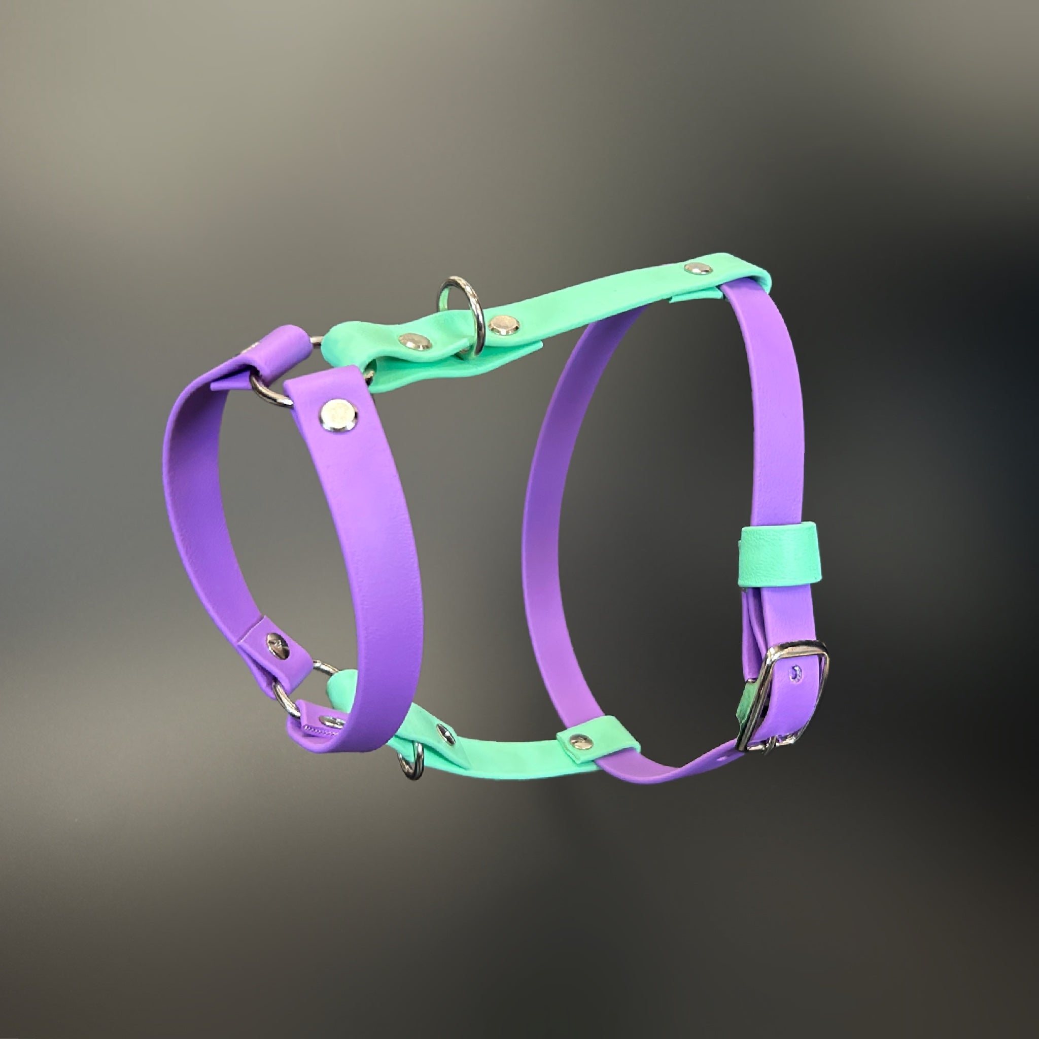 Main BioThane Harness image