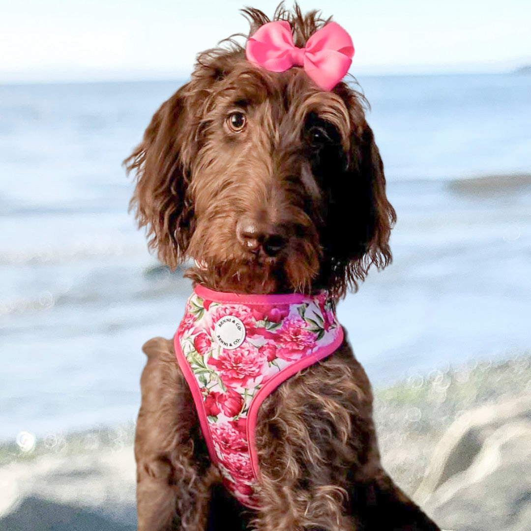 Main Pretty in Peonies Adjustable Harness image